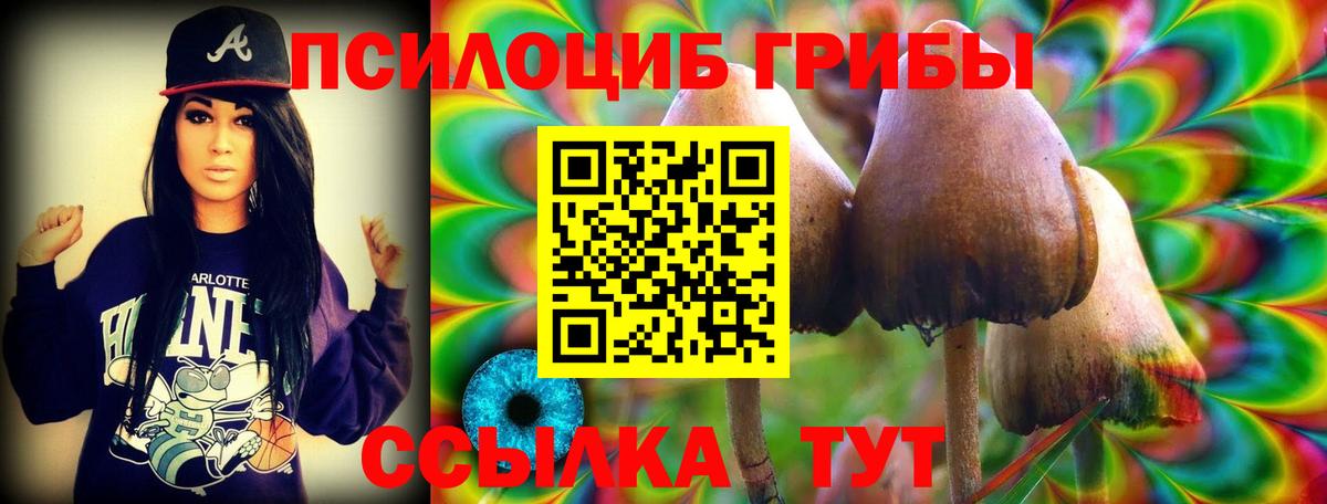 Псилоцибиновые грибы Psilocybine cubensis Ростов-на-Дону